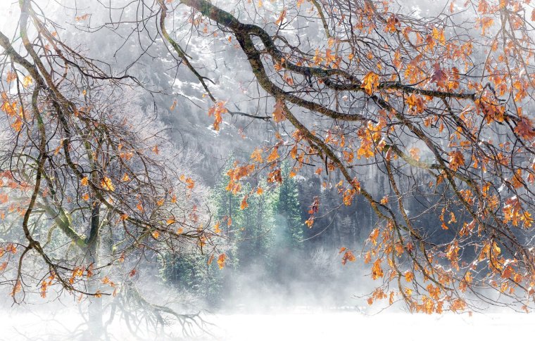 Поздняя осень снег