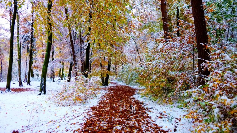 Поздняя осень обои