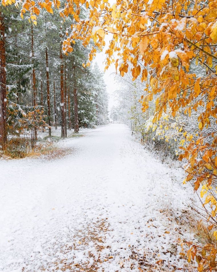 Встреча осени и зимы
