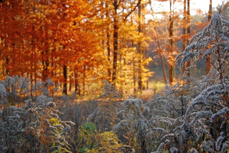 Осень и зима встретились