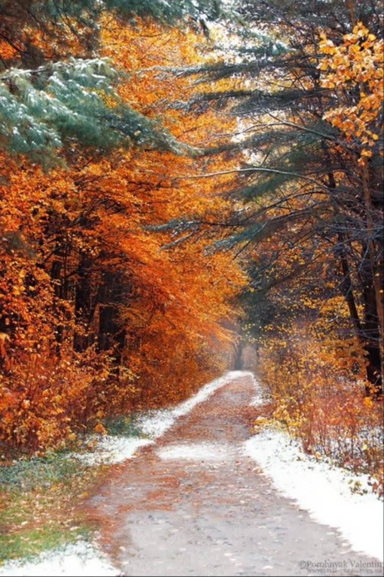 Встреча осени и зимы