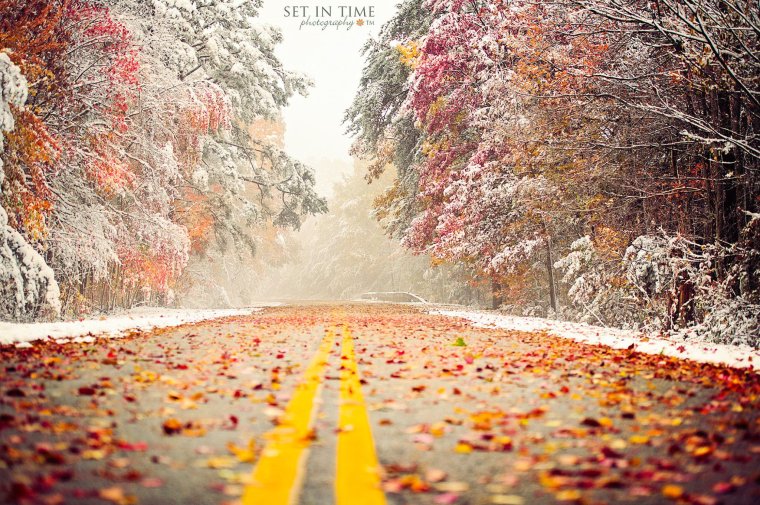 Ноябрь природа