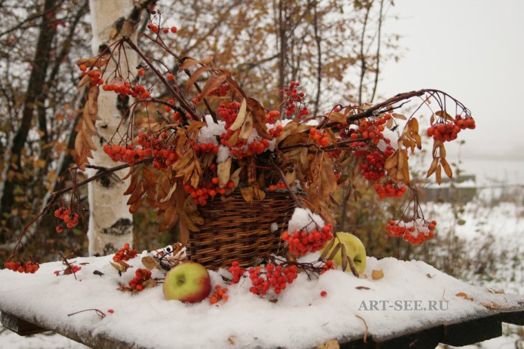 Аспен Колорадо осень