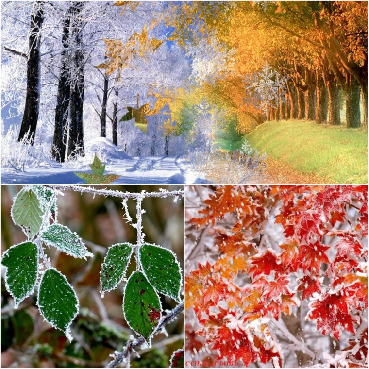 Осень ноябрь