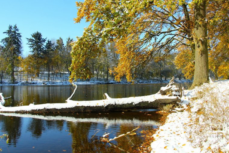 Осень на пороге зимы