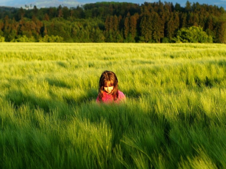 Красивые девушки в парке
