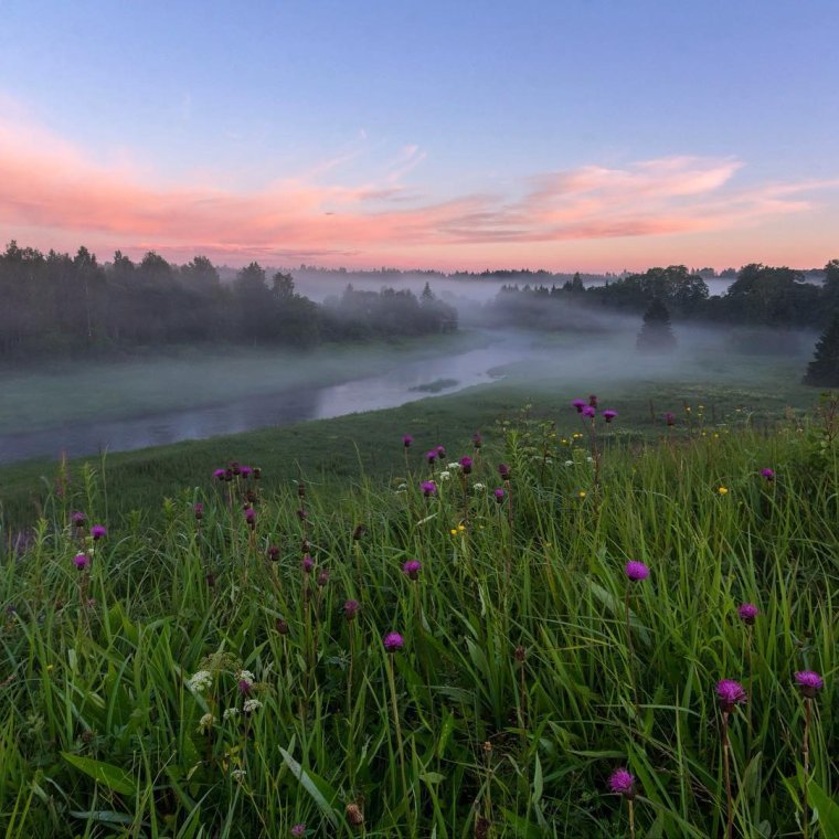 Природа Лужского района Ленинградской области