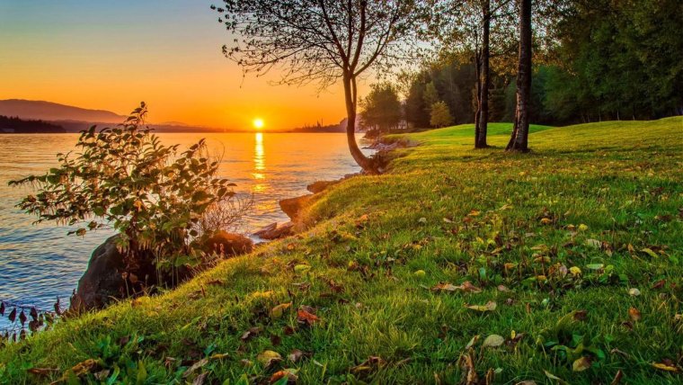 Утро природа