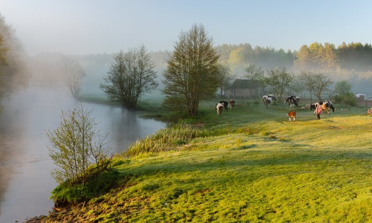 Утро в деревне