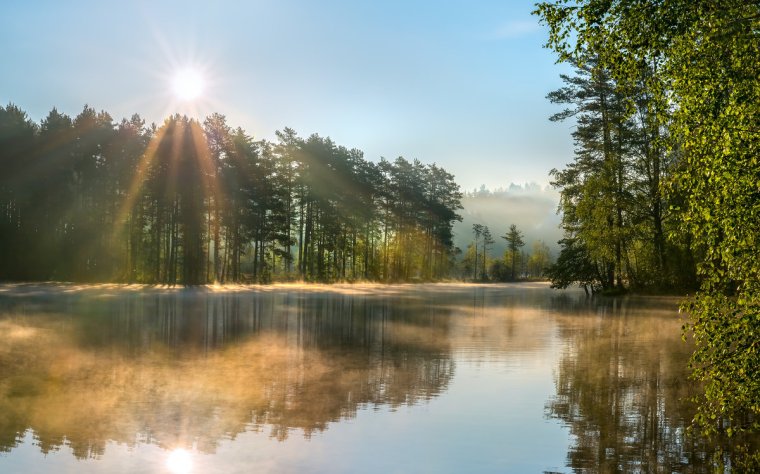 Сосновый Бор Ленинградская область природа