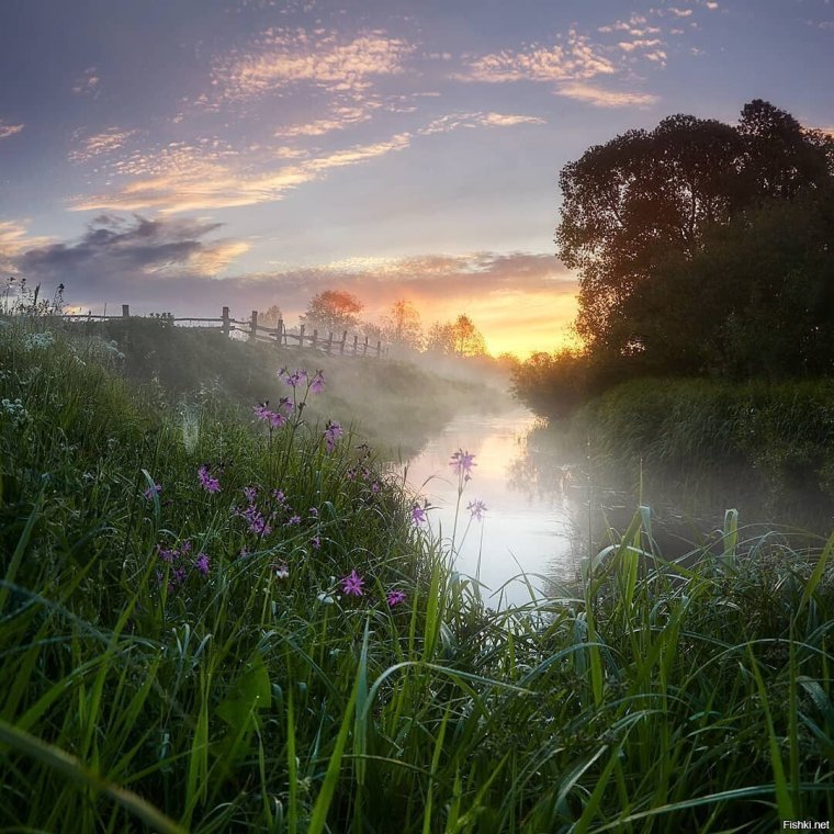 Рассвет на реке