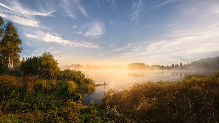 Лето утро туман