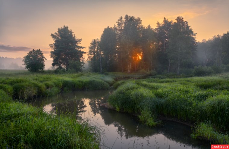 Река Шередарь Владимирская область