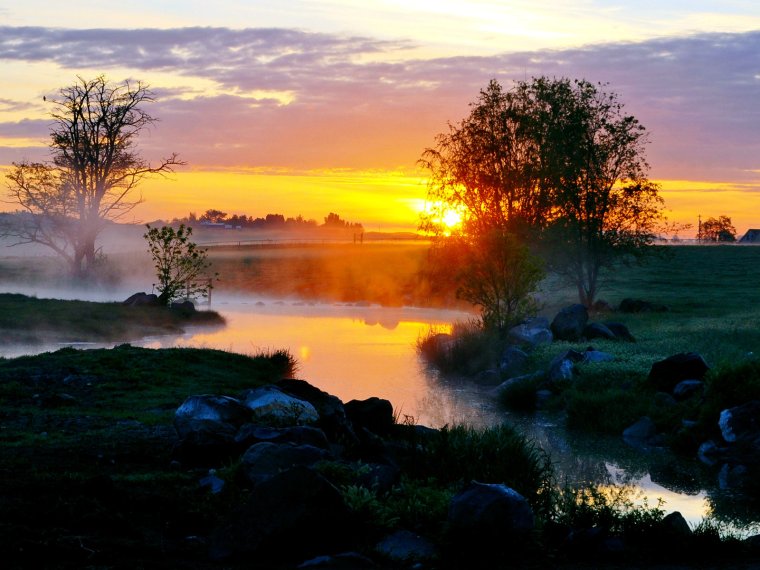 Зорька Заря