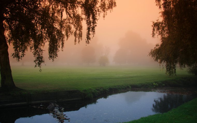 Туманное утро