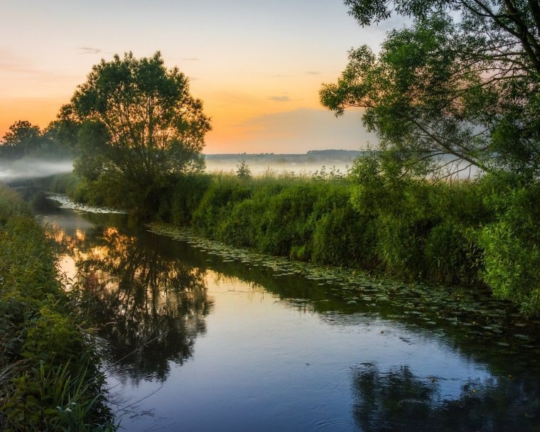 Летнее утро на реке