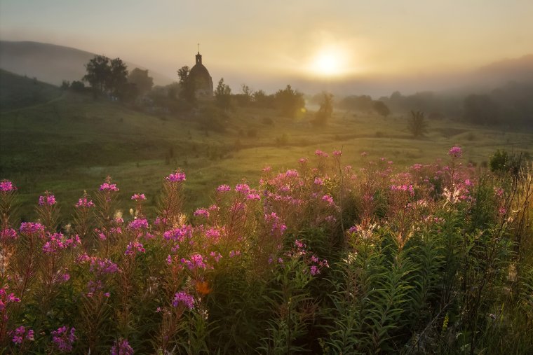 Иван чай разнотравье