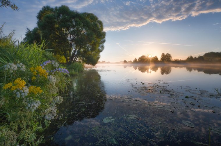 Есенин брезжит свет на заводи речные