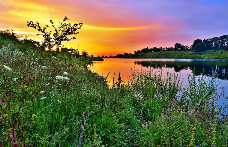 Пейзаж Заря