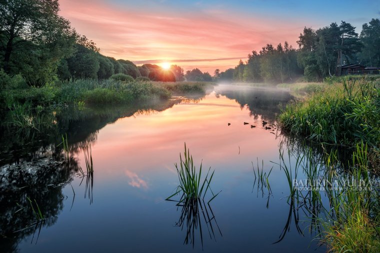 Лето река солнце