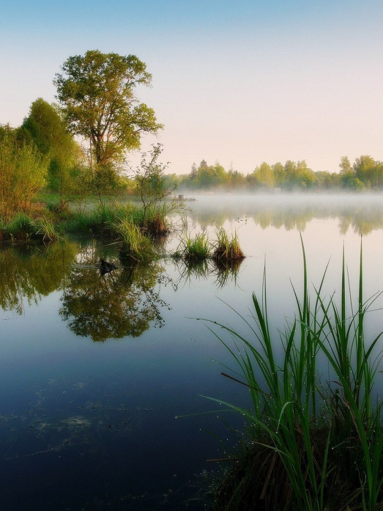 Пейзаж с водоемом