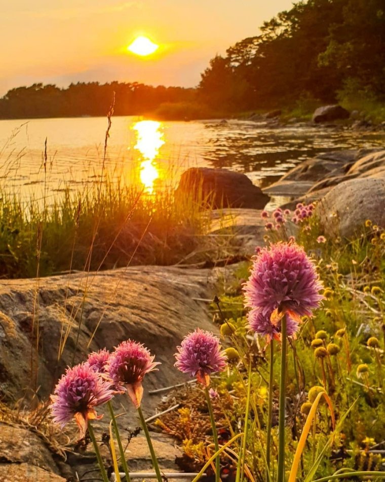 Лето рассвет