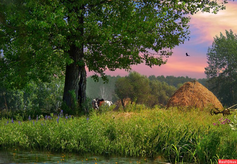 Есенинская Русь стога