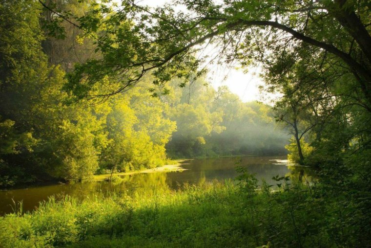 Курская область природа