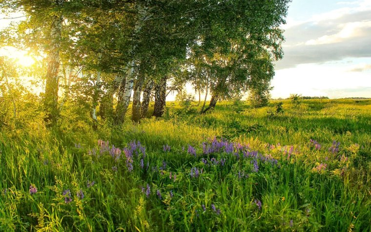 Палусские Луга
