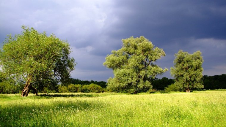 Красивые летние пейзажи