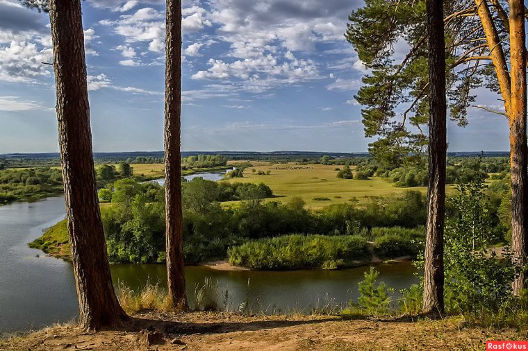 Пейзажи природы лето