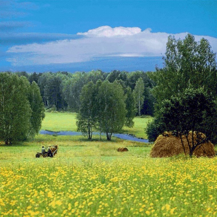 Родные просторы деревня