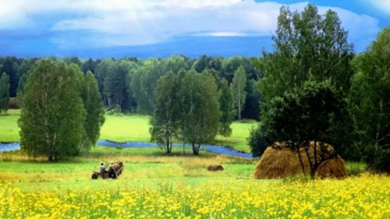 Луга Беларусь