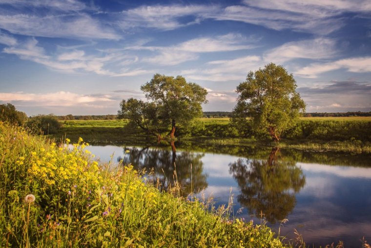 Пейзажи средней полосы России