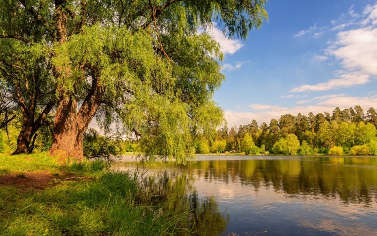 Лесное озеро Майский