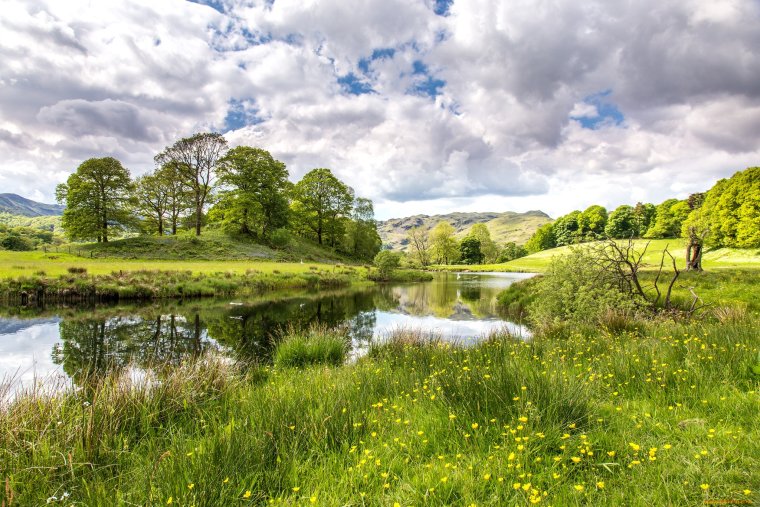 Поле лес река