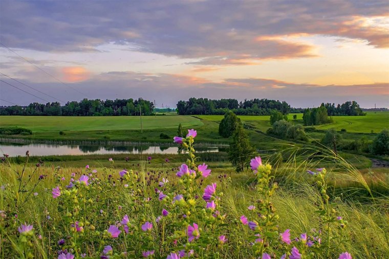 Летний пейзаж