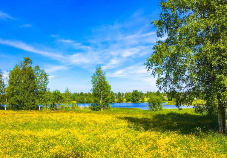 Солнечная русская природа