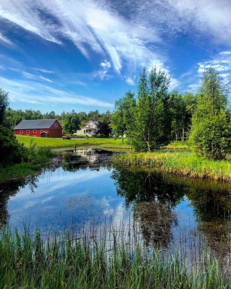 Красивые летние пейзажи природы