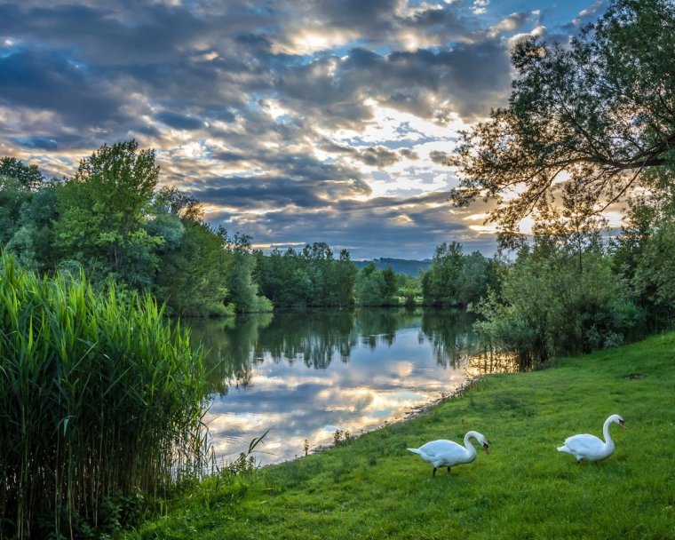 Красивые летние пейзажи природы