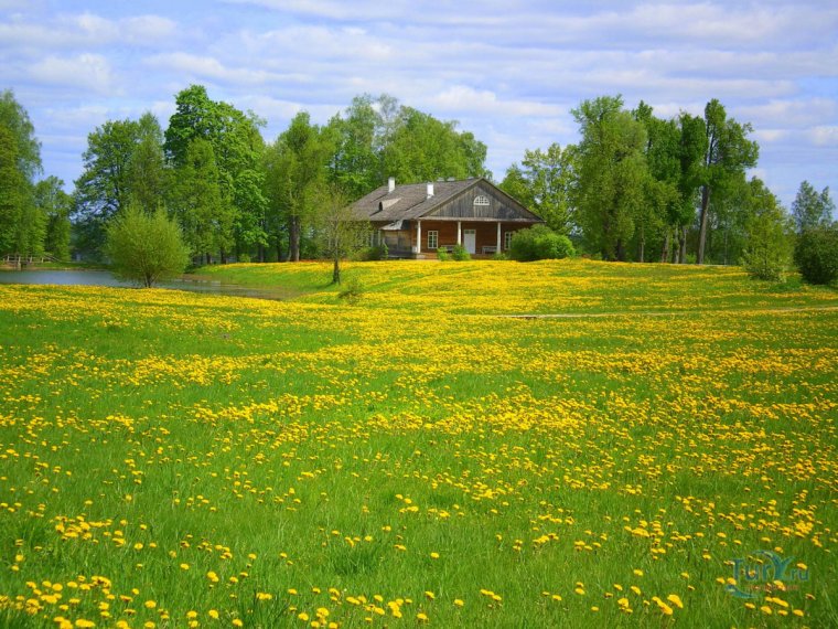 Красивые пейзажи деревенской природы