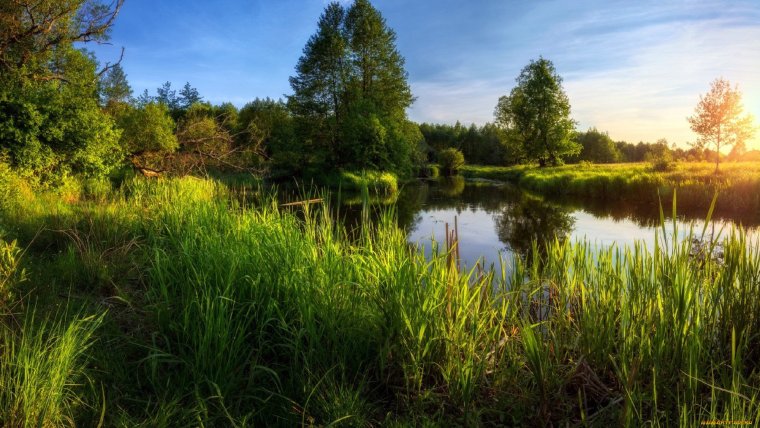 Природа речка