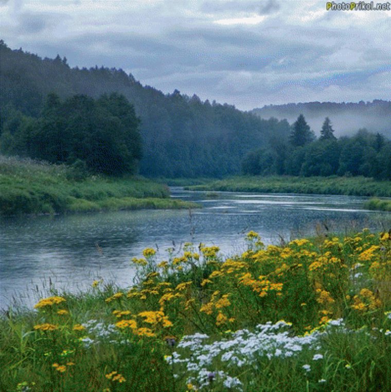 Пижма (приток Печоры)