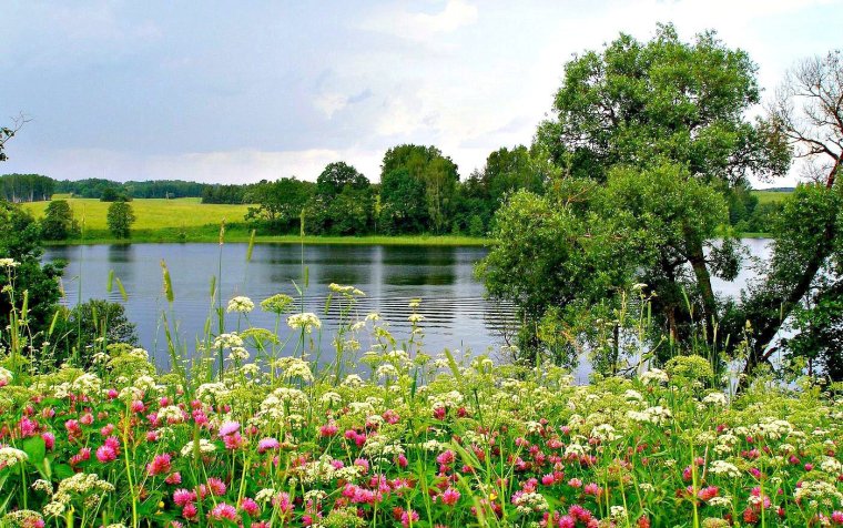 Красивые летние пейзажи