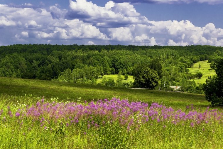 Храпки Киржачский район