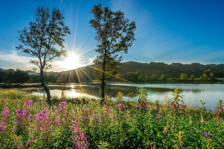 Фото природы летом