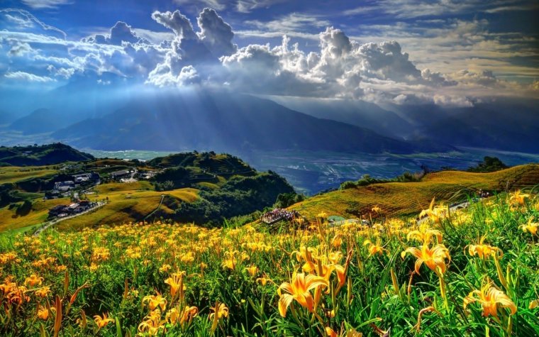 Прекрасный мир природы