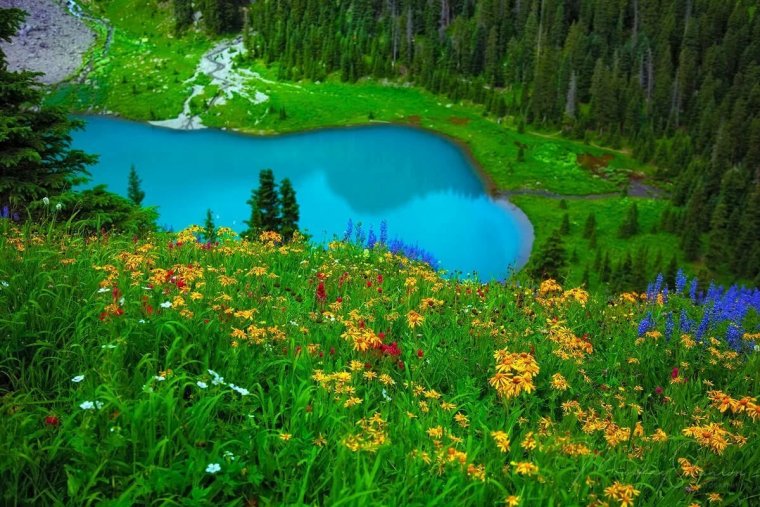 Полянка с озером