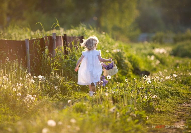 Летнее утро с детьми