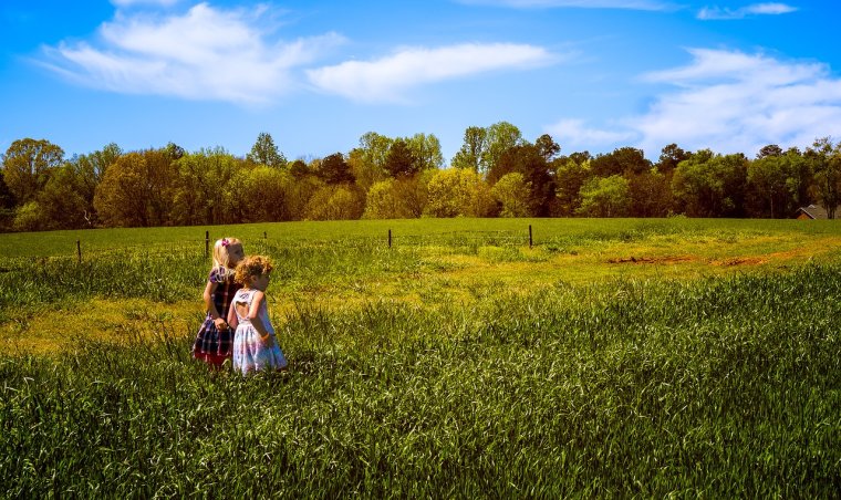 Природа поле дети